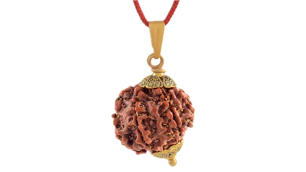 Brown_Rudraksha_Pendant_Necklace_for_Unisex