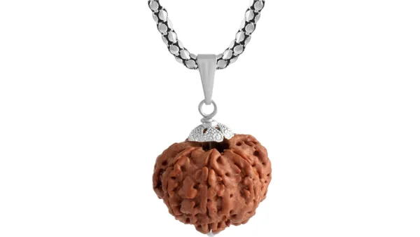 Brown_Rudraksha_Seven_Face_Pendant_Necklace