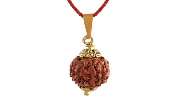 Brown_Rudraksha_5_Mukhi_Pendant_Necklace