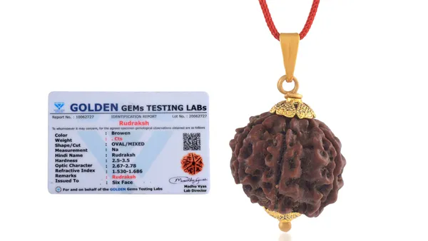 Brown_Six_Face_Rudraksha_Pendant_For_Unisex