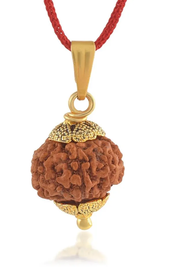 Brown_Rudraksha_Pendant_Necklace_for_Unisex