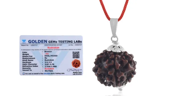 Brown_Rudraksha_Six_Face_Pendant