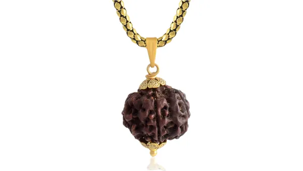 Brown_Six_Face_Rudraksha_Pendant_Mala_for_Unisex
