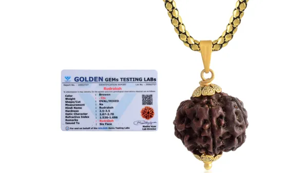 Brown_Six_Face_Rudraksha_Pendant_Mala_for_Unisex
