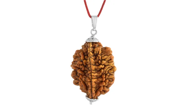 Brown_Two_Face_Rudraksha_Pendant