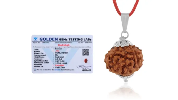 Brown_Rudraksha_Pendant_Necklace_for_Adults