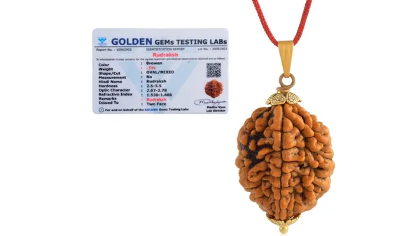 Brown_Rudraksha_Bead_Pendant_Necklace_for_Unisex