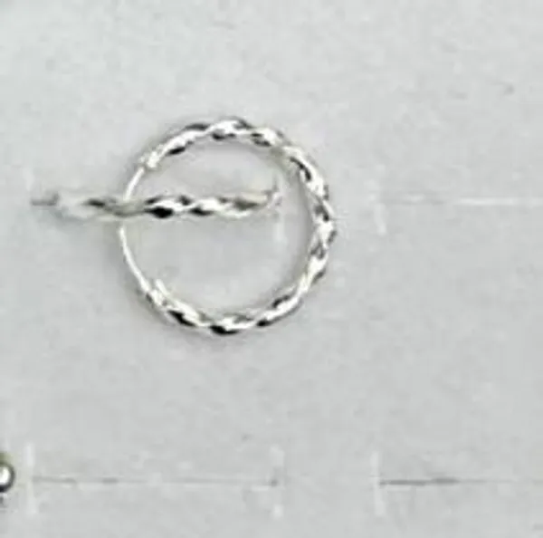 Silver-Tone_Twisted_Hoop_Earring_for_Women