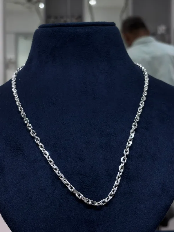 Silver-Tone_Link_Chain_Necklace