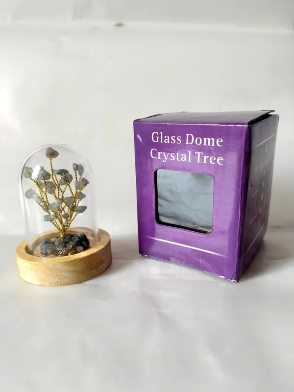 Labradorite_Stone_Decorative_Handcrafted_Natural_Stone_Tree_In_Glass_Dome_With_Wooden_Base