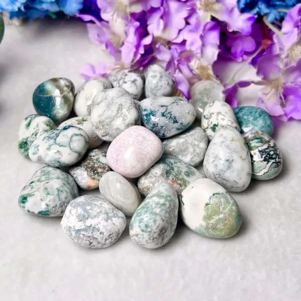 Natural_Polished_Tree_Agate_Crystal_White_Green_Dendritic_Pattern_Stone_1_Pc