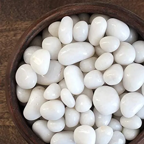 Evershine_White_Polished_Pebbles_Stones_For_Plants_Pots_Garden_Decoration_Vase_Fillers_Aquarium_Fish_Tank_Table_And_Home_Decor_White_Pebbles_15_To_35_Mm