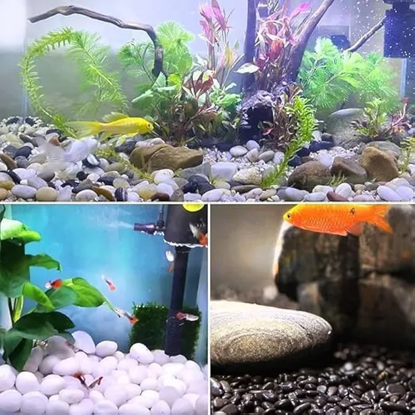 Evershine_White_Polished_Pebbles_Stones_For_Plants_Pots_Garden_Decoration_Vase_Fillers_Aquarium_Fish_Tank_Table_And_Home_Decor_White_Pebbles_15_To_35_Mm