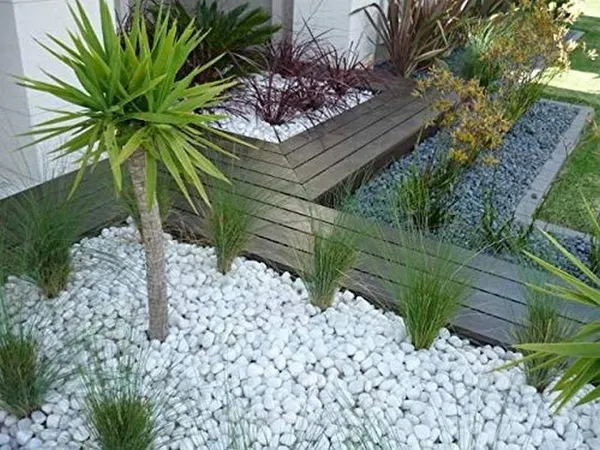 Evershine_White_Polished_Pebbles_Stones_For_Plants_Pots_Garden_Decoration_Vase_Fillers_Aquarium_Fish_Tank_Table_And_Home_Decor_White_Pebbles_15_To_35_Mm