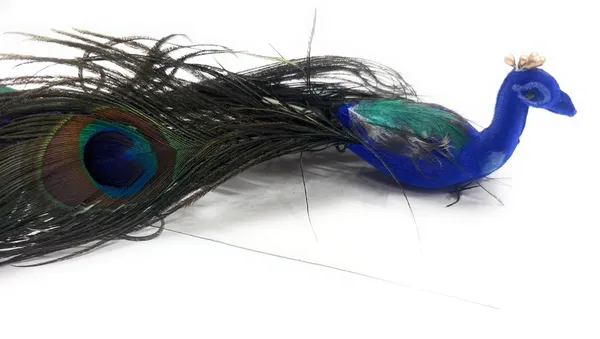 Decorative_Peacock_Figurine_With_Real_Feathers_Handcrafted_Blue_Green_Peacock_Showpiece_For_Home_Decor_Natural_Peacock_Tail_Feather_Bird_Ornament