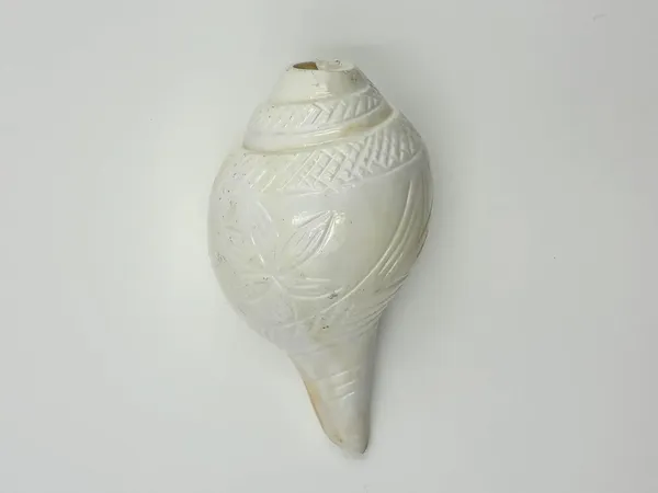 Puri_Jagannath_Dham_Original_Loud_Blowing_Natural_Jal_Shankh_For_Puja_Ritual_Use_Sound_Producing_White_Sankha_Conch_Shell_For_Home_Mandir_Pooja_Spiritual_Decor_Medium_Size_12_5_Cm