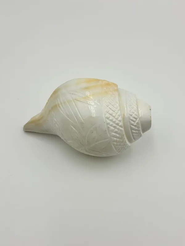 Puri_Jagannath_Dham_Original_Loud_Blowing_Natural_Jal_Shankh_For_Puja_Ritual_Use_Sound_Producing_White_Sankha_Conch_Shell_For_Home_Mandir_Pooja_Spiritual_Decor_Medium_Size_12_5_Cm