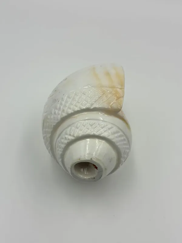 Puri_Jagannath_Dham_Original_Loud_Blowing_Natural_Jal_Shankh_For_Puja_Ritual_Use_Sound_Producing_White_Sankha_Conch_Shell_For_Home_Mandir_Pooja_Spiritual_Decor_Medium_Size_12_5_Cm