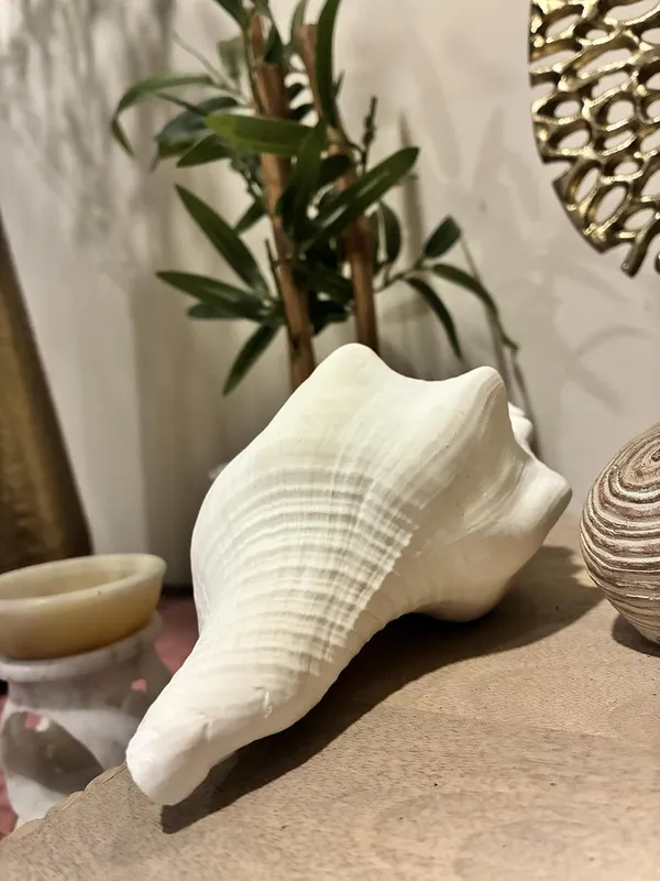 Original_American_Natural_Jal_Shankh_For_Puja_Ritual_Use_Loud_Sound_Producing_White_Sankha_Conch_Shell_For_Home_Mandir_Spiritual_Decor_Small_Size_15_Cm_250_G