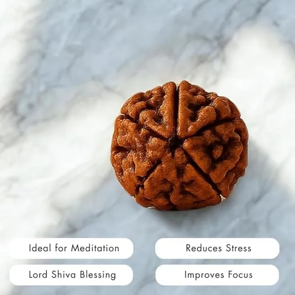 Panchmukhi_Rudraksha_In_Red_Thread_For_Men_Women_Spiritual_Prayer_Bead_Pendant_For_Meditation_Chanting_Temple_Wear_Devotional_Accessory_With_Certificate