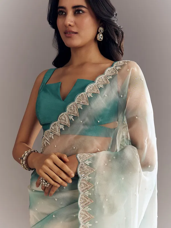 Embellished_Sarees_With_Blouse_(5.5_Metre_Saree_With_Stitched_Blouse)