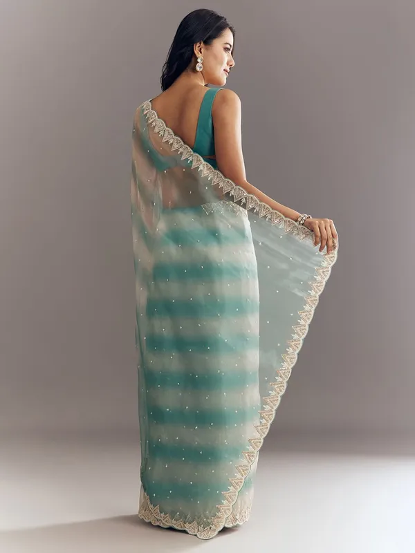 Embellished_Sarees_With_Blouse_(5.5_Metre_Saree_With_Stitched_Blouse)