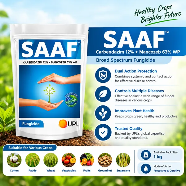 UPL_Saaf_–_Carbendazim_12%_+_Mancozeb_63%_WP_Fungicide