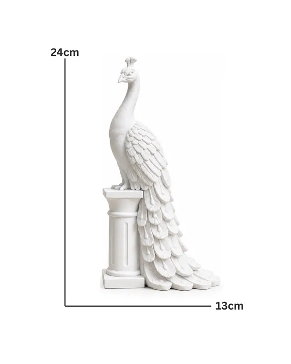 Royal_Plume_Peacock_White