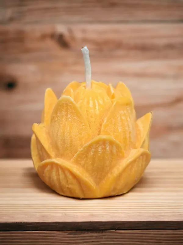 Orange_Soy_Wax_Scented_Candles_For_Home_Decor