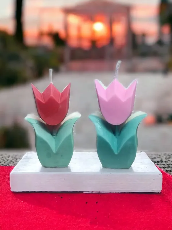 Red_And_Pink_Soy_Wax_Scented_Candles_For_Home_Decor
