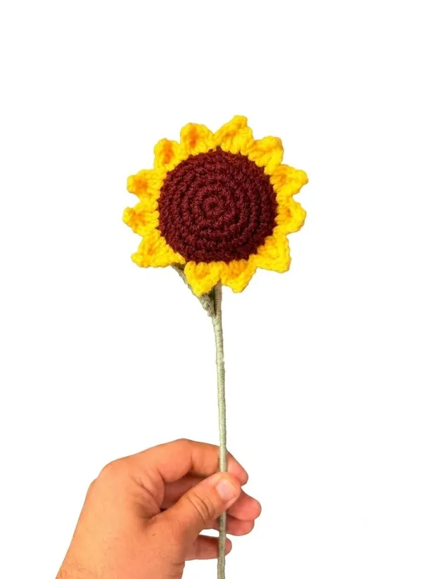 Regular_Sunflower