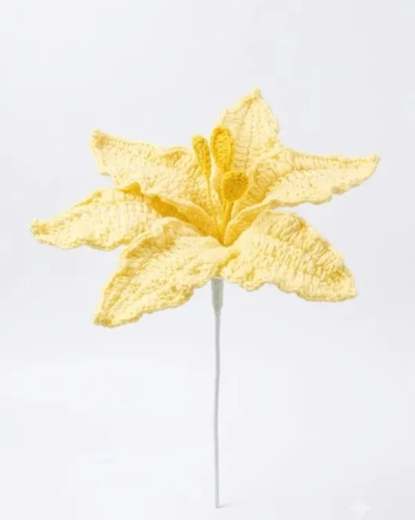 Tiger_Lily_Butter_Yellow