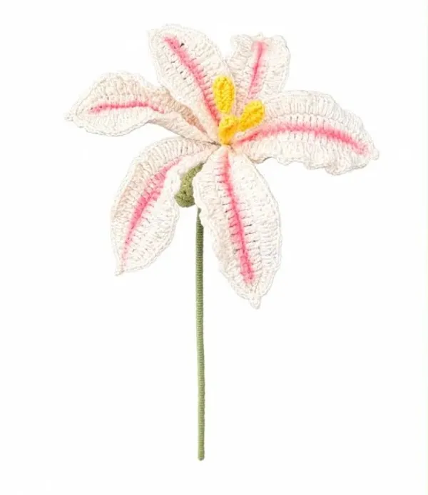 Shaded_Lily
