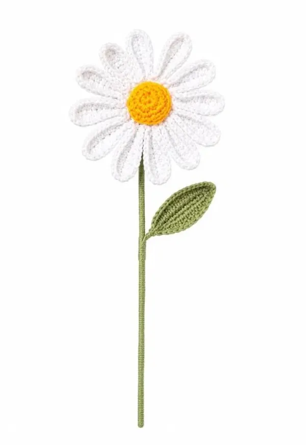 White_Daisy