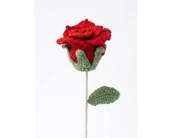 Xl_Rose_Red