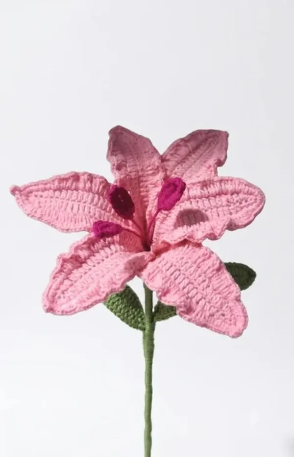 Tiger_Lily_Pink