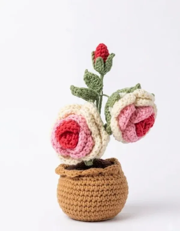 Double_Shaded_Rose_Pink