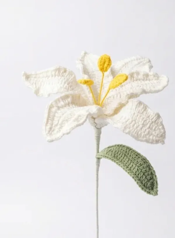 Tiger_Lily_White