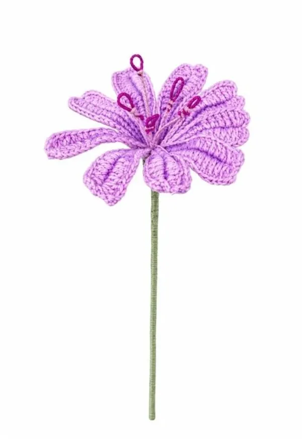 Cynthia_Flower