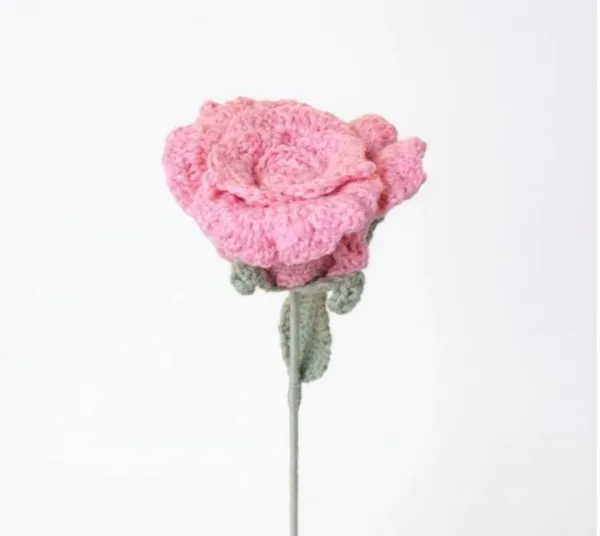 Xl_Rose_Pink