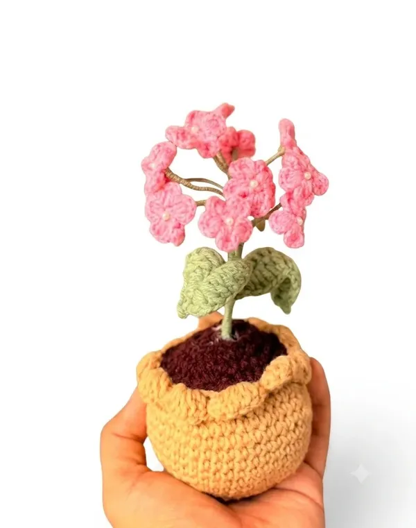 Babybreath_Pot_Pink