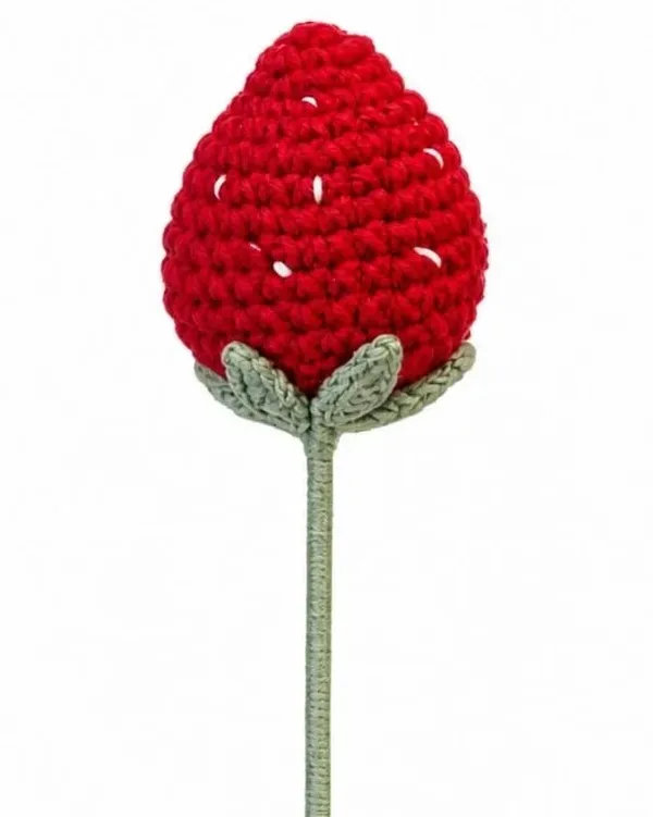 Stawberry_Stick
