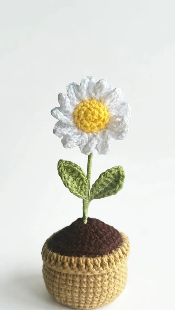 Daisy_Pot