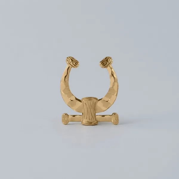 Metal_Horseshoe_Decorative_Hook