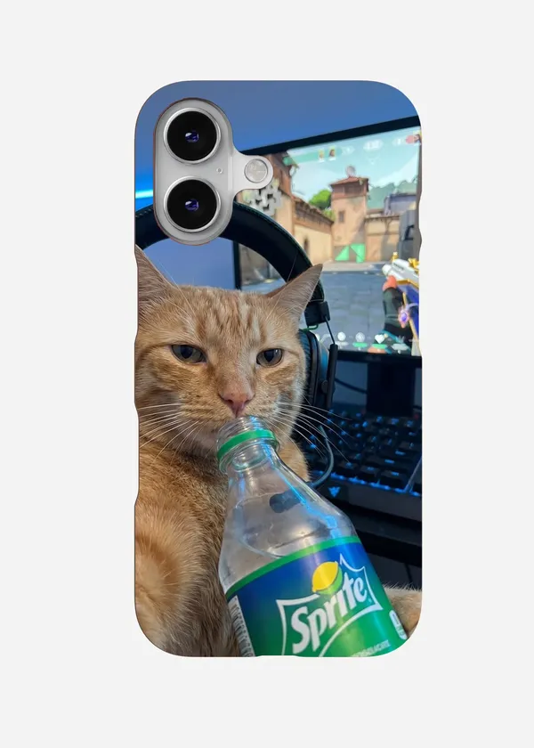 Gamer_Cat_Case