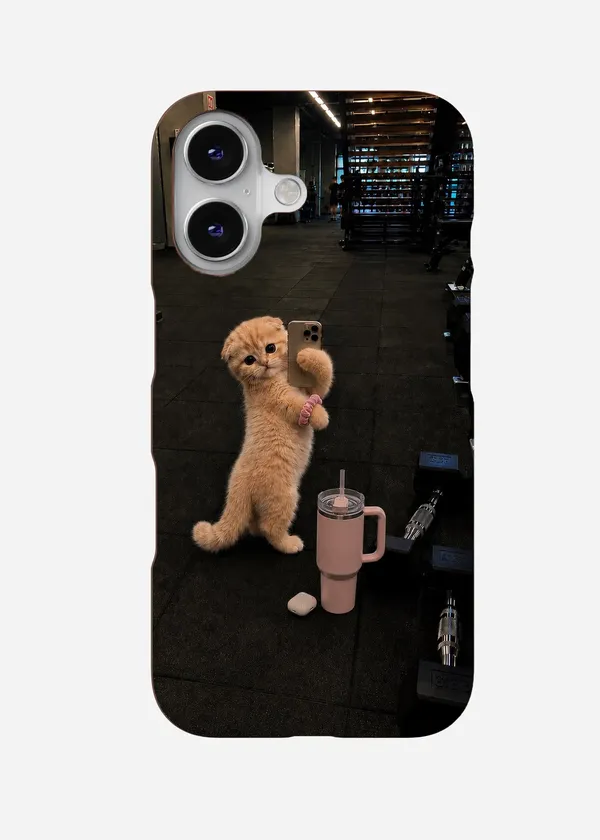Kitty_Gains_Case