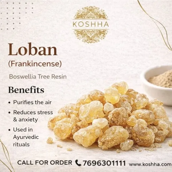 Loban_(Frankincense)
