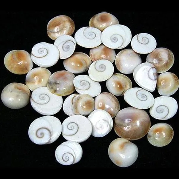 Gomati_Chakra
