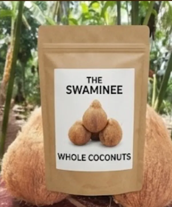 Brown_Whole_Coconuts