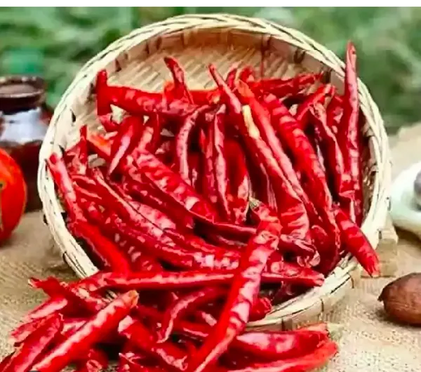 The_Swaminee_Dried_Red_Chillies